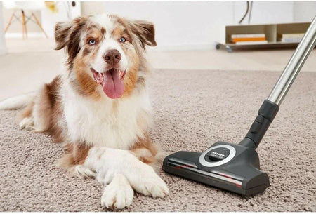 Best Vacuums for Pet hair on Low Pile Carpets, Rugs & Mats