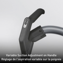 SEBO Airbelt D4 Canister Vacuum in Red